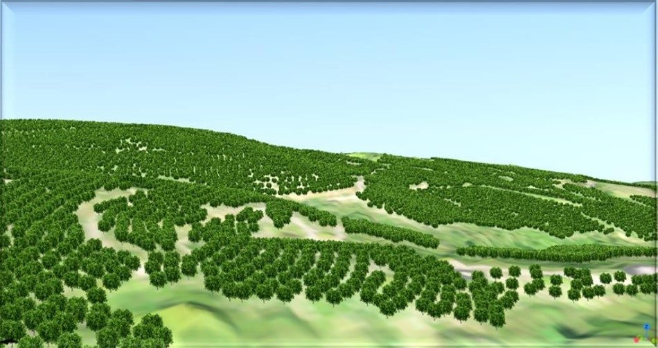 El modelo en tres dimensiones del cultivo: la ladera con sus árboles, vista desde un costado.